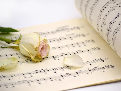 Adopting Twin Babies Dream Meaning: Manifesting Balanced Abundance