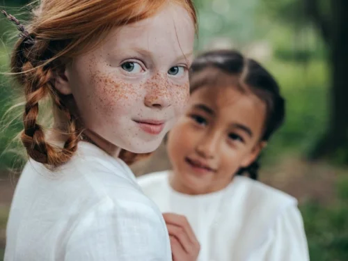 Chasing a Turtle Dove Dream Meaning: Pursuing Inner Peace