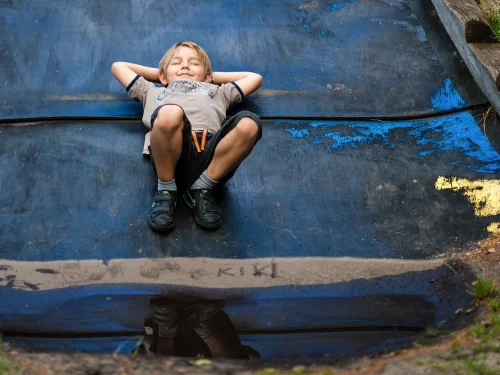 Collecting Hawthorn Fruit Dream Meaning: Healing and Resilience