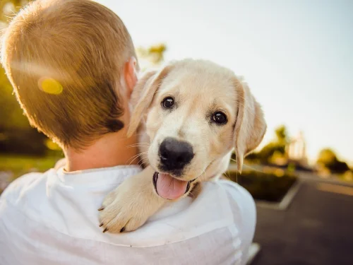 Dream Interpretation: Dreaming of a Monster in the Sky: Facing Unseen Threats