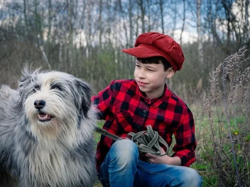 Purple Bedsheet Dream Meaning: Spiritual Rest and Sovereignty
