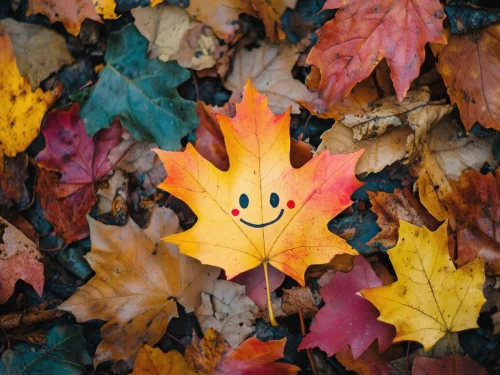 Dream Meaning of an Angry Calf: Unveiling Inner Fury