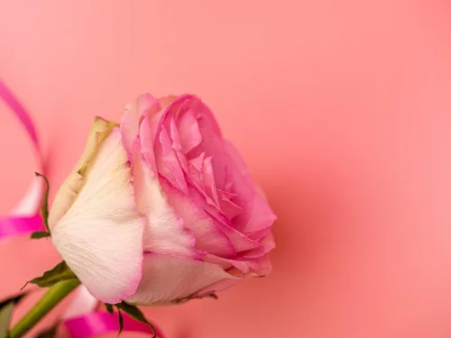 Dream Interpretation: Dreaming of Being Imprisoned in a House: Unseen Boundaries Revealed