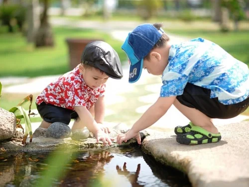 Dream Meaning: Dreaming of Eating Bitter Cucumbers - Unpleasant Truths Revealed