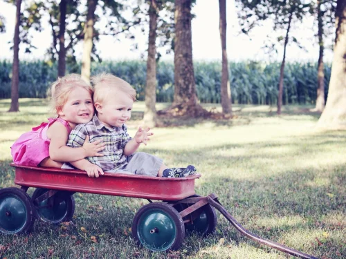 Dream Meaning of Feeding a Cat: Nurturing Inner Needs