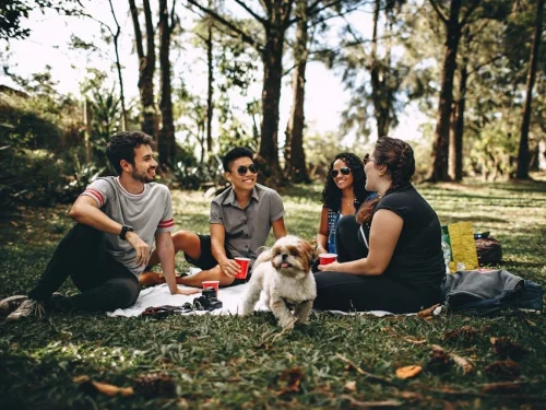 Dreaming of Going to Your Former Workplace Dream Meaning: Revisiting Unresolved Lessons