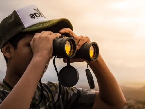 Dream Meaning of Seeing an Old Friend and Their Spouse: Harmonizing Past Connections