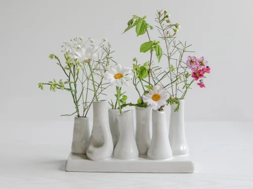 Dream Meaning: Dreaming of seeing family and relatives together: Rekindling Connections