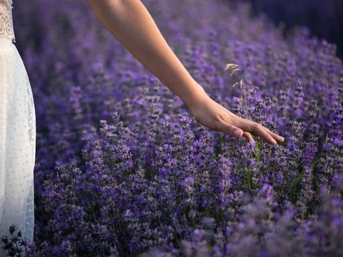 Dream Interpretation: Dreaming of Writing with Blood: Profound Self-Expression