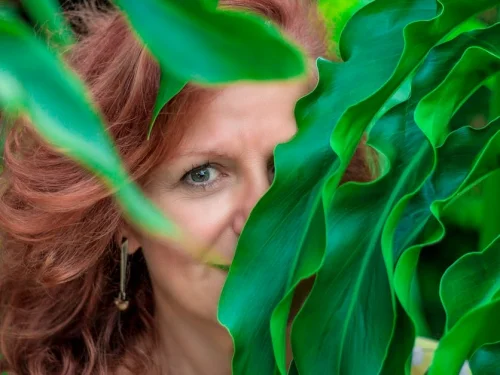 Dream Meaning of Dropping Money: Unveiling Financial and Personal Significance