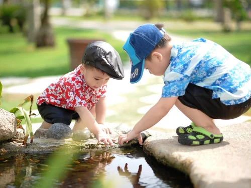 Dream Meaning: Seeing a Chick in Your Pocket in a Dream: Nurturing Potential